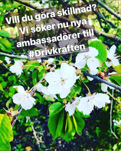 Söker nya ambassadörer till #Drivkraften